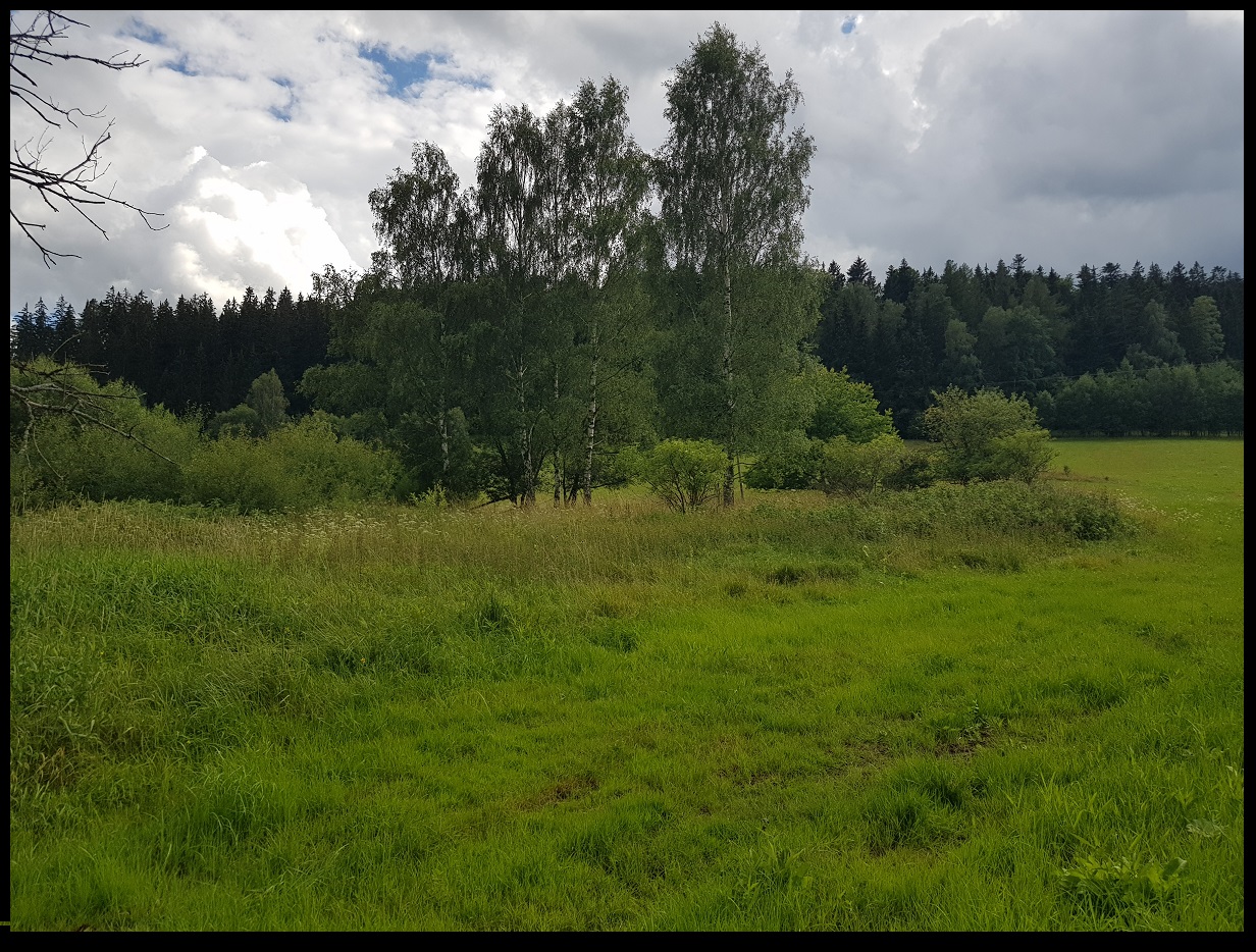 działka budowlana na sprzedaż Kochanów