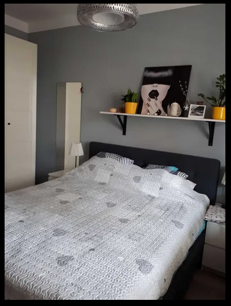 apartament w kamienicy Wrocław Stare Miasto