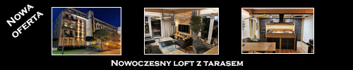 loft na sprzedaz