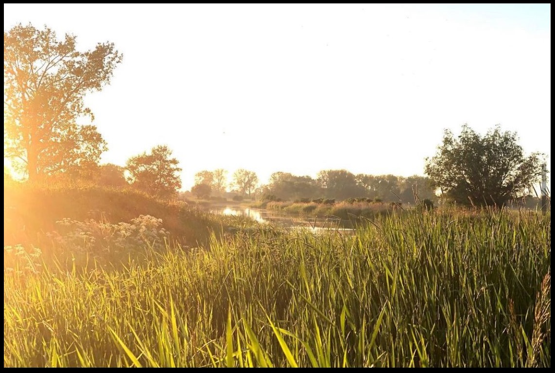 dom na sprzedaż nad morzem