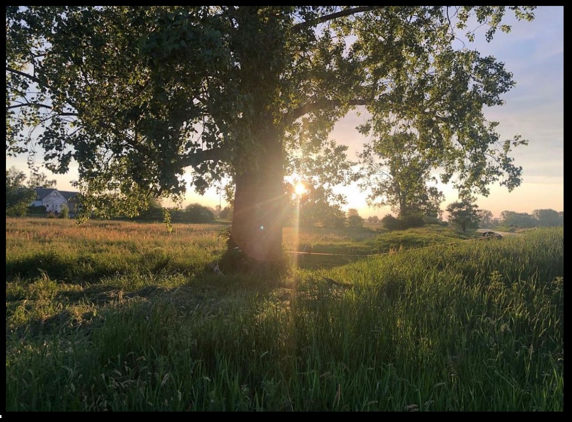 dom na sprzedaż nad morzem