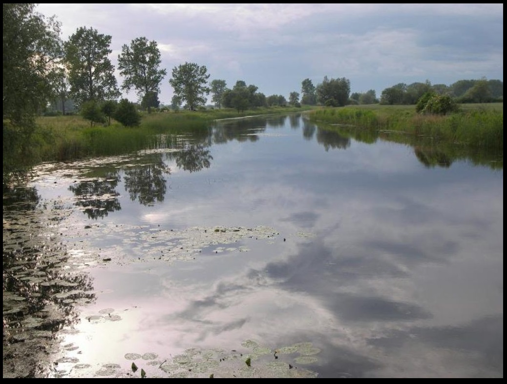 dom na sprzedaż nad morzem